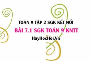 Bài 7.1 SGK Toán 9 tập 2 Kết nối tri thức
